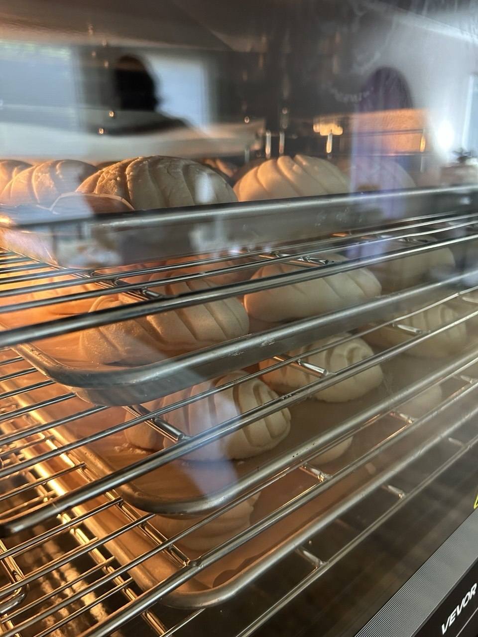 Conchas recién horneadas dentro del horno de Corazón Contento